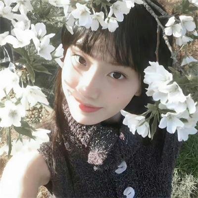 比基尼洗车场